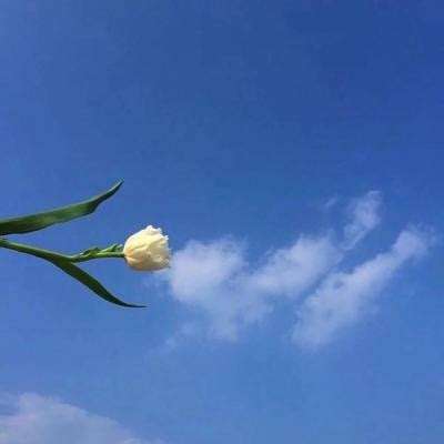 暴君竞技场游戏下载